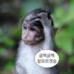[댓글부탁해] <b>공차</b> 치즈폼 추가할말