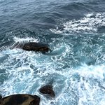 나 바다<b>보정</b>함 우때