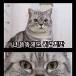 <b>멘트</b>가