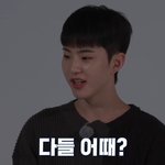 고잉세븐틴 <b>불면</b>제로가 인기많은 이유
