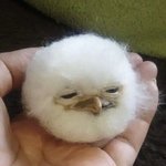 [댓글부탁해] 하ㅜ체육쌤 인스타 알아버림