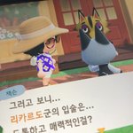 [이것좀봐줘] <b>모동숲</b> 이거 괜찮은거야?