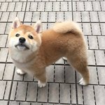 [NCT칠프] 문태일이랑 똑디