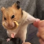 [드루와] 흠 <b>내방</b>에깃는 <b>물건</b>중에 당근에 팔게 뭐가잇을까