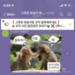 [NCT칠프] ㅌㄷ 아니 <b>숭이</b> 고독방인데