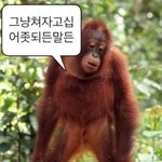 탕수육 남은거 <b>에어</b>프라이기 몇분?