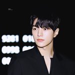 최근 몇년간 탈울림한 아티스트들 <b>현황</b>