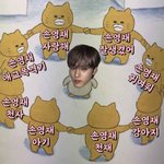 [더보이즈] 탐라에 프메짤 올라올때마다
