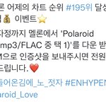 [엔하이픈] 폴라럽 다운 가자