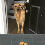 너무 잘 만들어서 더 이상해 보여!