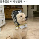 청와대공무원 아빠 <b>or</b> 검사 아빠