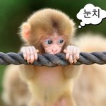 [댓글부탁해] <b>이틀</b>동안 머리 안감고 학원가도됨?