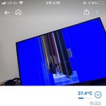 당근<b>마켓</b>에서 기괴한 거 봄