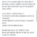[TXT] 위버스 이 쪼꼬미 글 아는 사람