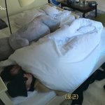 [NCT드림] 러러는 혼자있을때는 고양이면서 해찬이랑 있으면