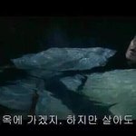 이런짤 인<b>스스</b>에 올리는거 별로임?