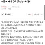 [NCT칠프] <b>백업</b>