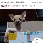 나보다 심한 오타쿠 본 적 없음