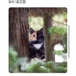[댓글부탁해] 천사판녀들아 나 로맨스 웹툰 추천좀ㅠㅠㅠ
