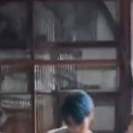 [NCT칠프] 이마쿠 그 <b>크록스</b> 신고 요상한 틱톡ㅋㅋㅋ