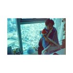 [방탄소년단] 호비 <b>인별</b>