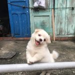 [모두드루와] <b>본문</b>에 적힌 남돌 사진 좀 주라...