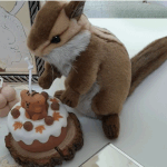 [펜타곤] 벽반이니 수줍게 올려본다