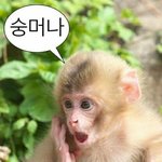 <b>이</b> 공<b>스타</b> 아는 사람