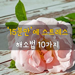 [50대] 15분만에 스트레스 해소법 10가지