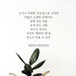 행복의 꽃