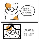 나 입시할때 버릇땜에 아직도 <b>수만휘</b> 들락날락거림