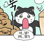 이웹툰 아는<b>사함</b>