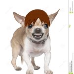 [진격의거인] 15에렌 보고 어린 늑대라고 하는데