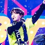 <b>호비</b> 보고퍄