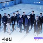 [세븐틴] 오랜만에 <b>샤</b>다 듣는데