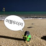 [드루와] 나 내일 태어나서 처음으로 <b>탈색</b>한당