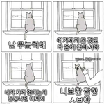 나 <b>반</b>배정 망하는거 <b>확정</b>됨