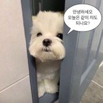 <b>장롱</b>이랑 책상이랑 매트리스 버릴건데