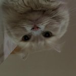 지금 <b>탐구</b> 공부 시작하는 거 많이 늦어..?