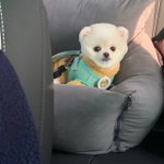 [이것좀봐줘] 오랜만에 우당탕탕 메리4