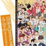 [하이큐] 근데 카라스노 정도면
