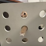 [추반] 둘중에 더 한심한게 누구라고 생각함ㅋㅋㅋ