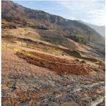 <b>전라남도</b> 순천에서 벌어진 일 ㄷㄷ