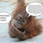 [댓글부탁해] 너희는 이거 선택할 수 있어?