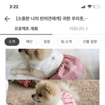 강아지 한복 사주려고 하는데