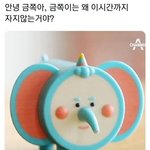 안녕 <b>금쪽</b>아
