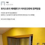 [댓글부탁해] 아 <b>효연</b> 아오이유우보고