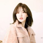 레벨 <b>웬디</b>가 알려준 놀라운 사실
