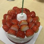 마스크 언제 쯤 벗을 꺼 같냐ㅠ
