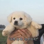 [드루와] 나만 교복 안 <b>입음</b>?